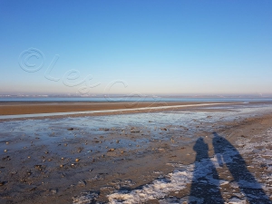 Plage en hiver